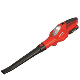 ALB 1815 Lion
