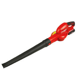 ALB 2020-24 Lion Set