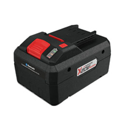 PAPS 208 A1 DE/EU