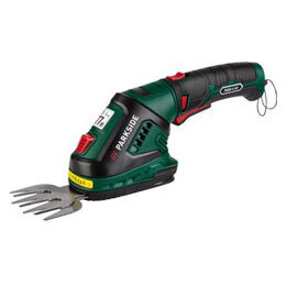 PGSA 4 A2 - IAN 408538