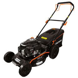 DG-PLM 5125 SP