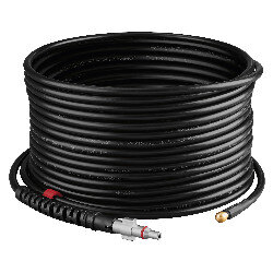 PRRS 15 B3 - IAN 496470