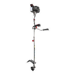 PPBS 3 B2 - IAN 495693