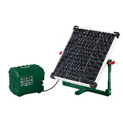 PASLM 25 A1 - IAN 520728