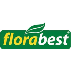 FGS 10/9
