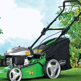 FBM 135 A1 - IAN 71989