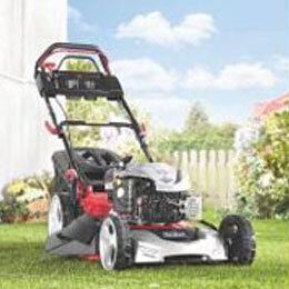 FBM 190 A1 - IAN 56392