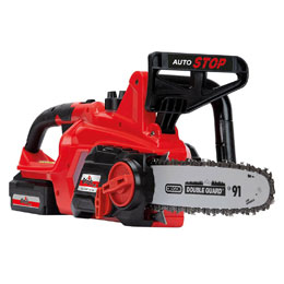 AKS 2040 Lion
