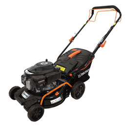 DG-PLM 4219 SP