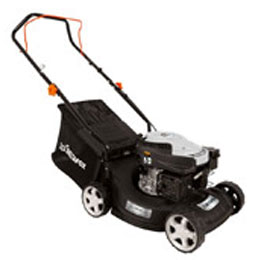DG-PLM 4019 P