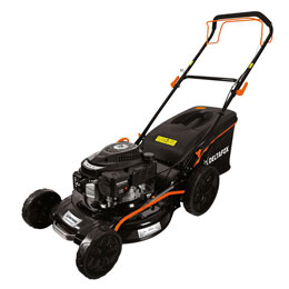 DG-PLM 5125 SP