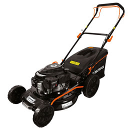 DG-PLM 5125 SP