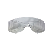 Schutzbrille