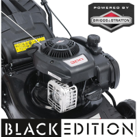 Grizzly Tools Benzin Rasenmäher BRM 42 B&S 6...