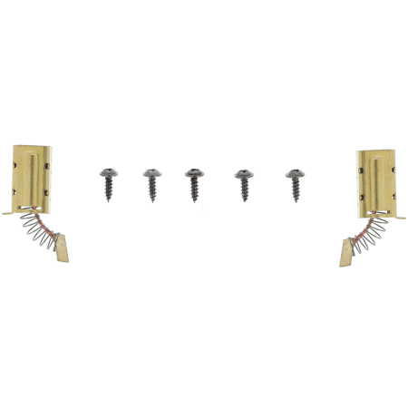 Carbon brush set