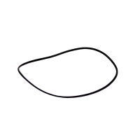 O-ring
