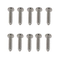 Kreuz-Schlitz-Schraube 4x16 (10er)