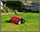 B-Ware Grizzly Tools Elektro Vertikutierer ES 1231