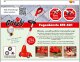 B-Ware Grizzly Tools Elektro Fugenbürste EFB 401-4, 400 Watt, inkl. 4 Arbeitsbürsten