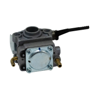 Carburettor with fuel pump