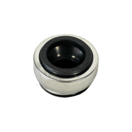 Mechanical seal with spring