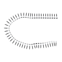 Ιμάντας βίδων 50x βίδες (3,5 x 25mm)