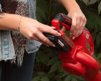 B-Ware: Grizzly Tools Akku-Laubbläser ALB 2020 Lion Set
